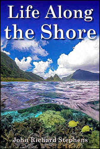 Life Along the
                          Shore