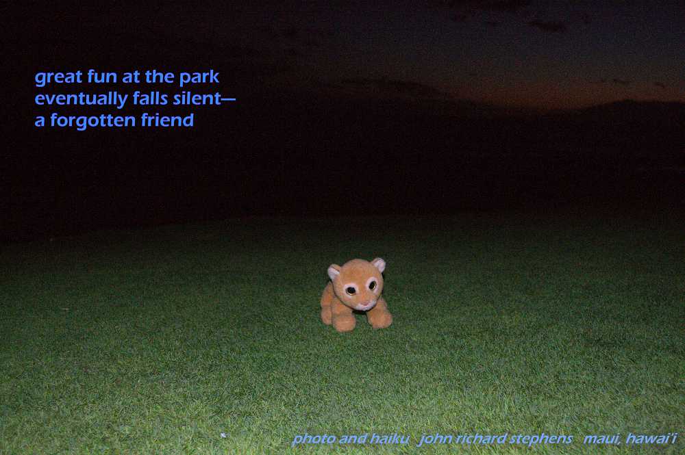 A photo haiku with a picture of child's toy alone in the park at dusk. A photo haiku with a picture at dusk of a lion cub plush left alone on the grass.