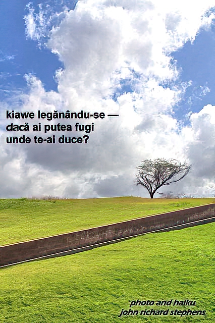 A photo haiku with a picture of windswept tree on the top of a green hill with dramatic clouds behind. A photo haiku with a picture of windswept tree on the top of a green hill with dramatic clouds behind.