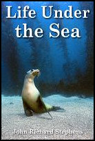 Life Under the Sea Life
Under the Sea title=