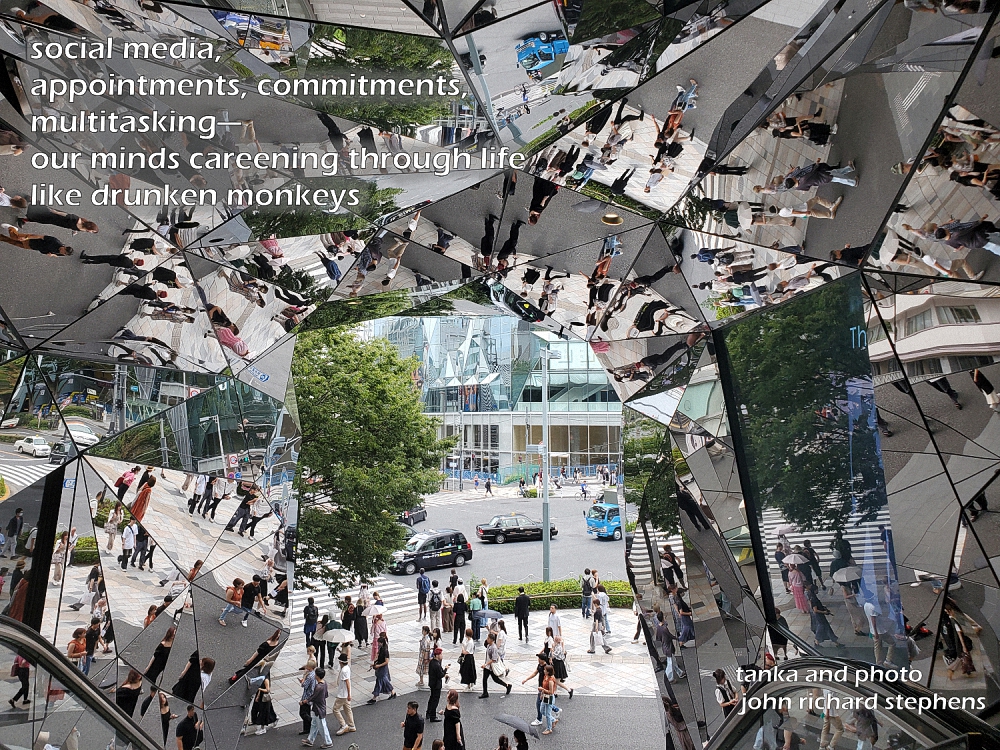 A photo haiku with a picture of street scene surrounded by many angled mirrors, giving it a fractured look. A photo haiku with a picture of street scene surrounded by many angled mirrors, giving it a fractured look.