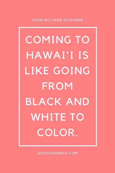 Coming to Hawai'i is like going from black and white to color. Coming to Hawai'i is like going from black and white to color.