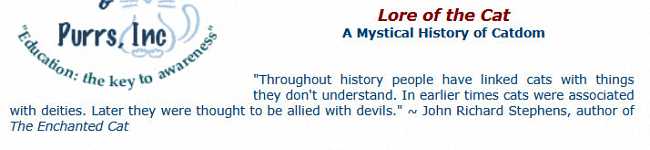 &mdash;from The Enchanted Cat