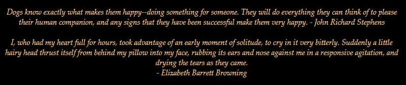 In the book Dog Quotations.