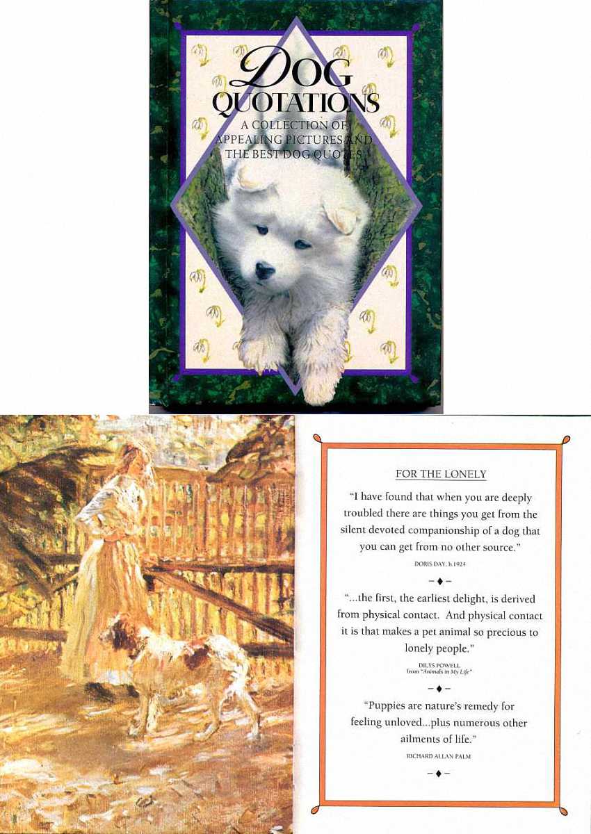 Puppies are nature's remedy for feeling unloved...plus numerous other ailments of life.