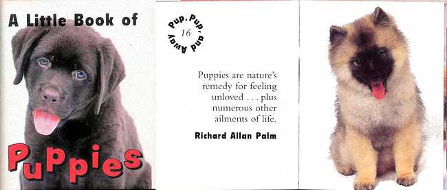 Puppies are nature's remedy for feeling unloved...plus numerous other ailments of life.