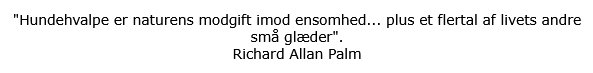 Puppies are nature's remedy for feeling unloved...plus numerous other ailments of life, (In Danish.)