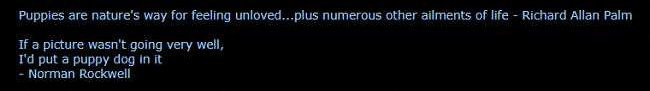 Puppies are nature's remedy for feeling unloved...plus numerous other ailments of life,(In Swedish.)