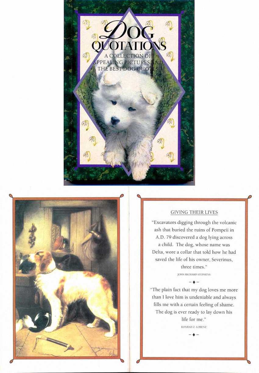In the book Dog Quotations.