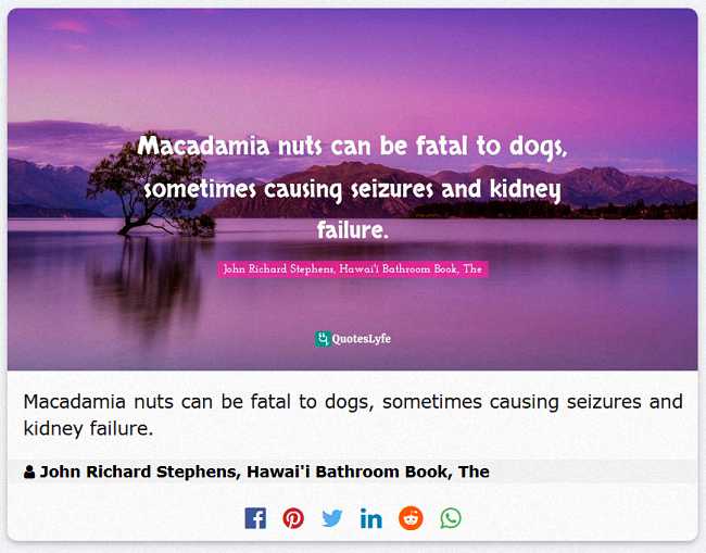 Macadamia nuts can be fatal to dogs, sometimes causing seizures and kidney failure.